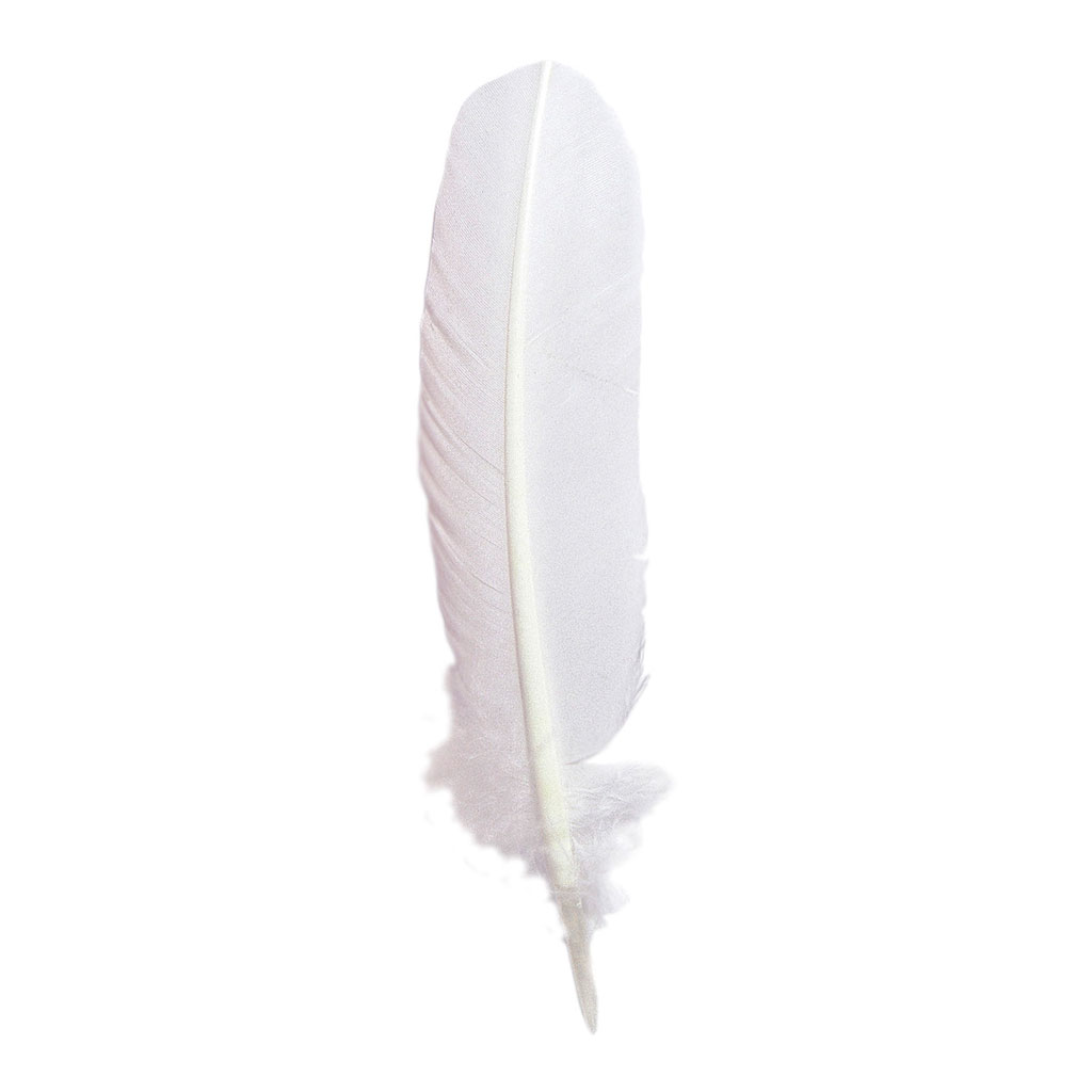 Herbin Goose Quill 28cm White